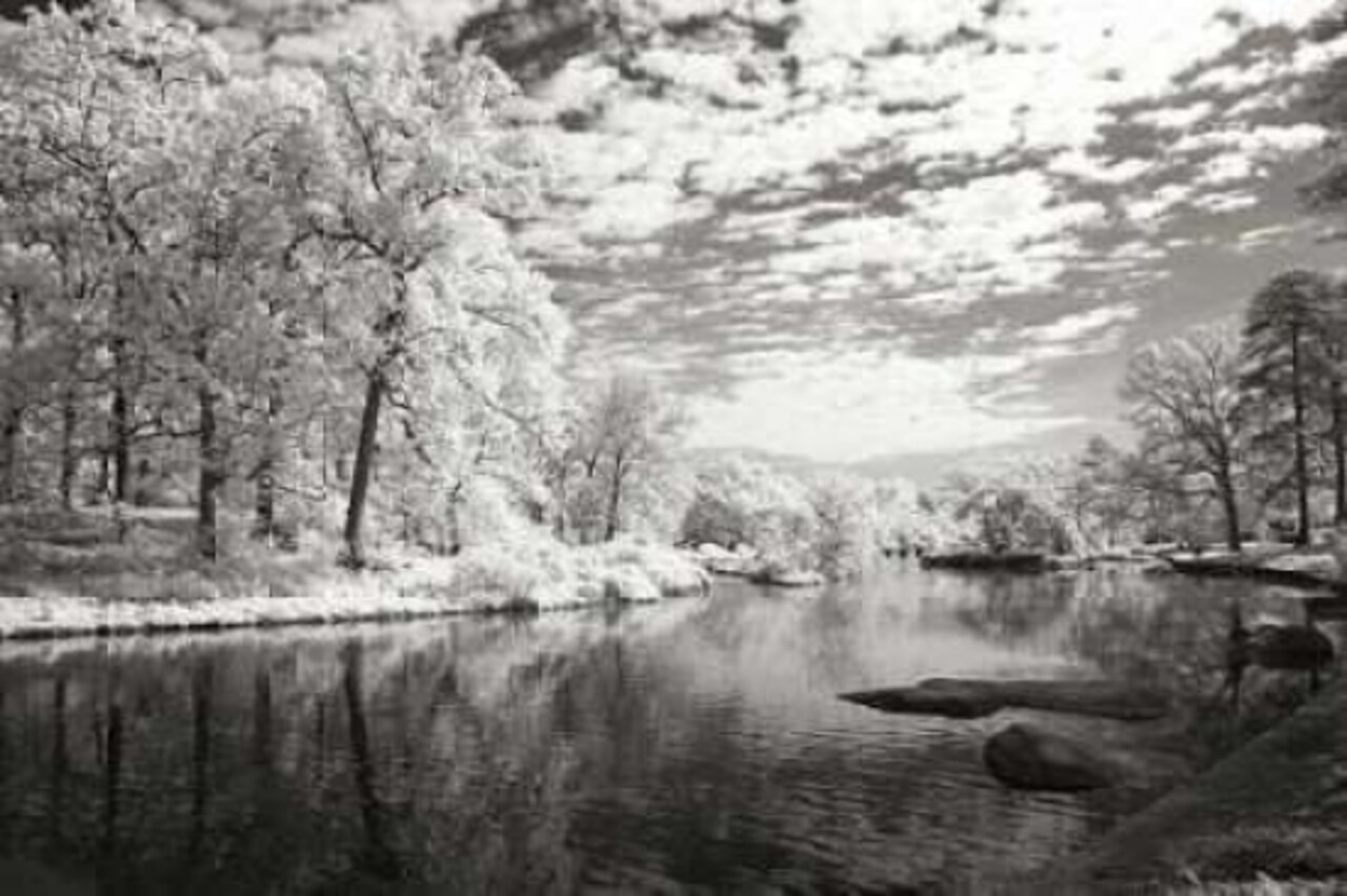 Youngs Pond Poster Print by Alan Hausenflock - Item # VARPDXPSHSF1280